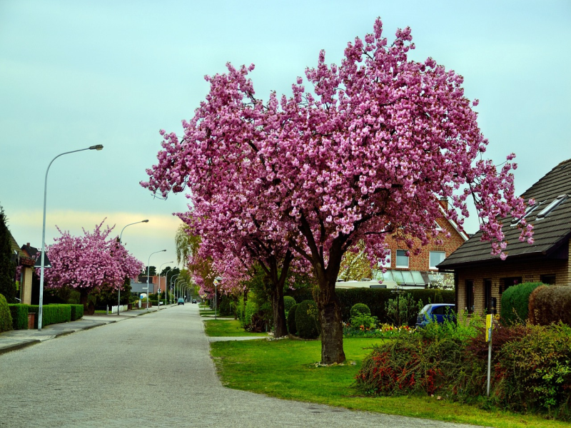Sleutelproject Dronten Noord van start