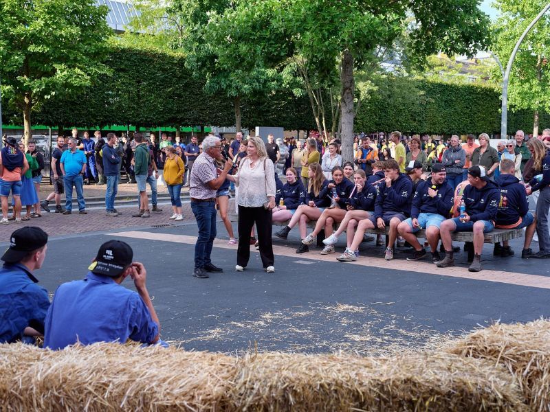 De Biggenveiling op het Meerpaalplein in Dronten 