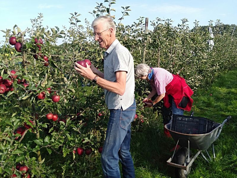 5.000 kilo appels geplukt voor voedselbanken in Dronten en regio