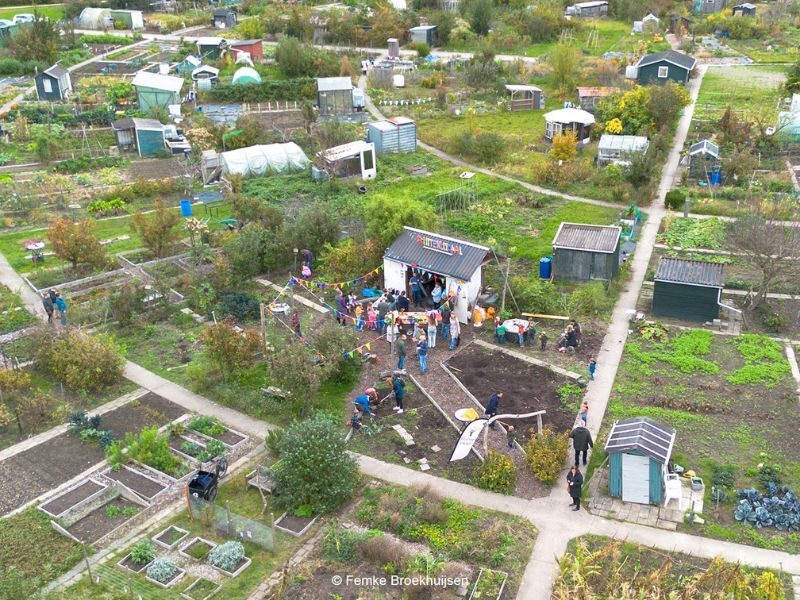 Oogstfeest Buiten Lokaal: leren, proeven en beleven 