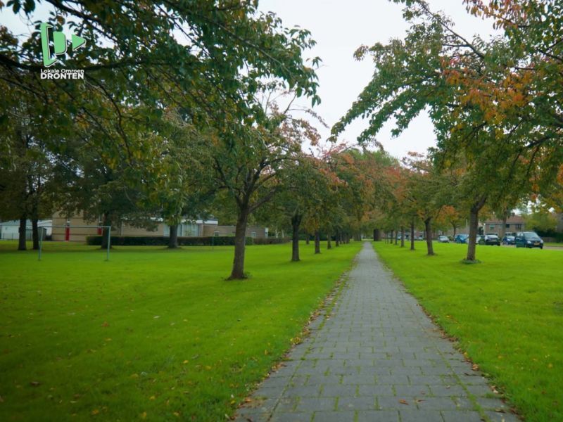 Wandelen langs de bomenpracht van Dronten