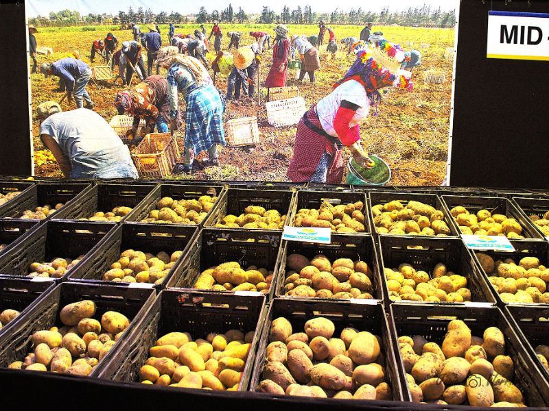 Aardappelen in bakken