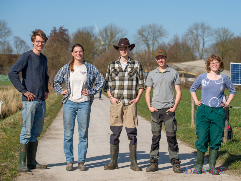 20250307 koeien warmonderhof