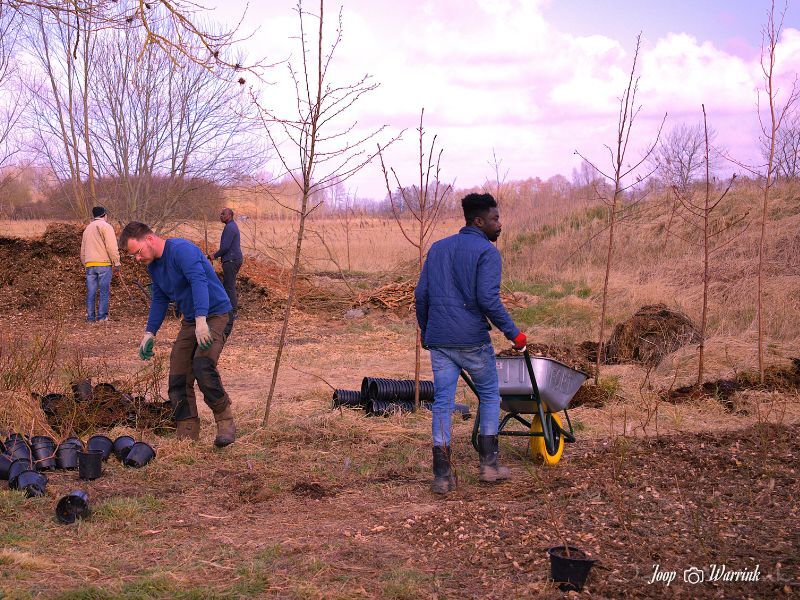 20250315 nl doet roggebotstaete 2