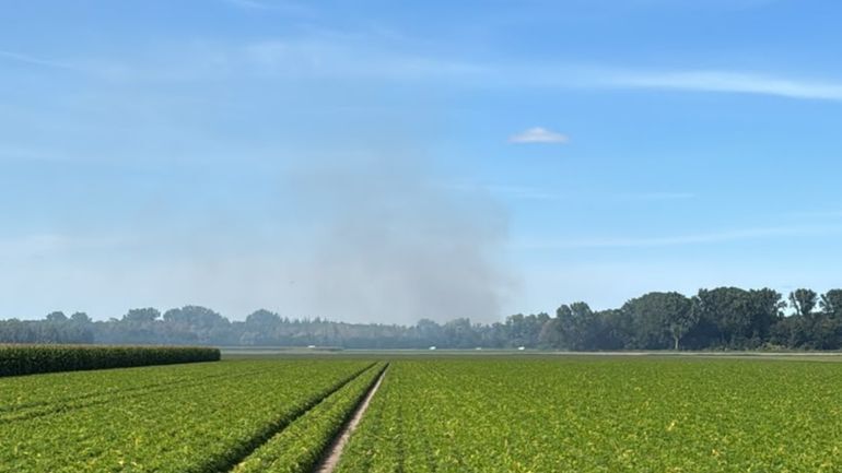 Brand in bos aan de Roggebotweg