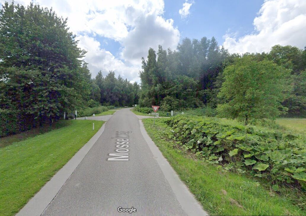 Mosselweg