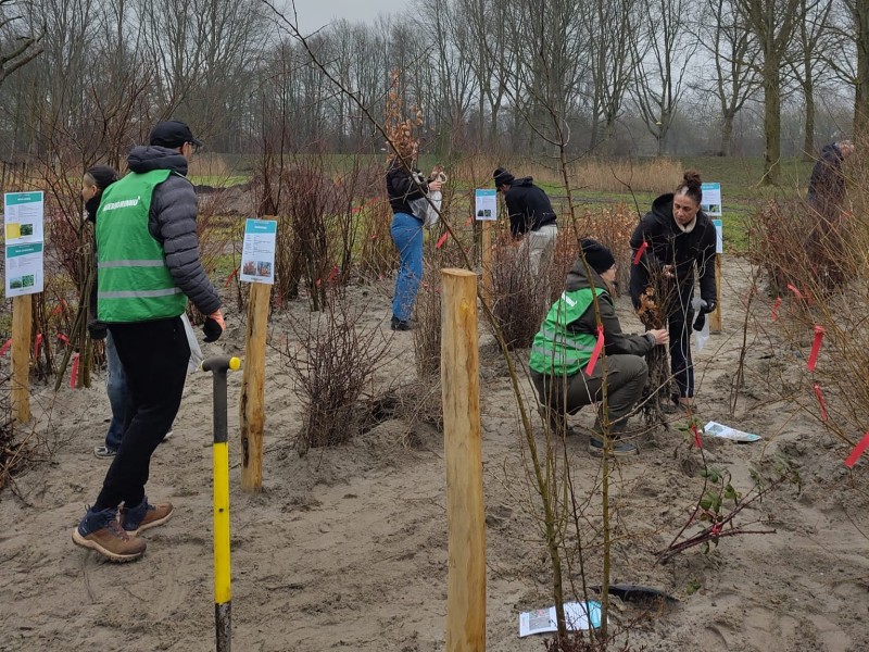 Meer Bomen Nu geeft jonge bomen een tweede kans in Flevoland