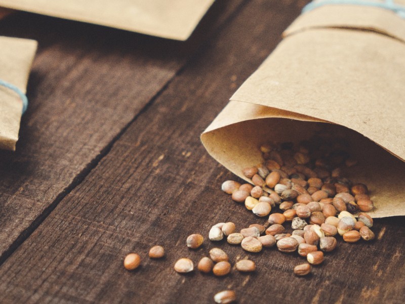 Wat hier groeit, bloeit door jou: bibliotheken starten lokale zadenbieb