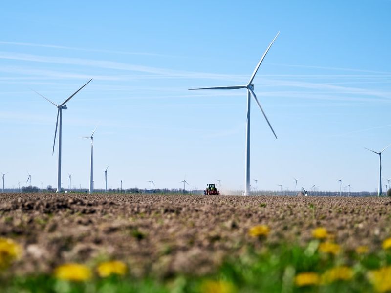 Dronten en Zeewolde boven gemiddeld bij huidkanker in Flevoland