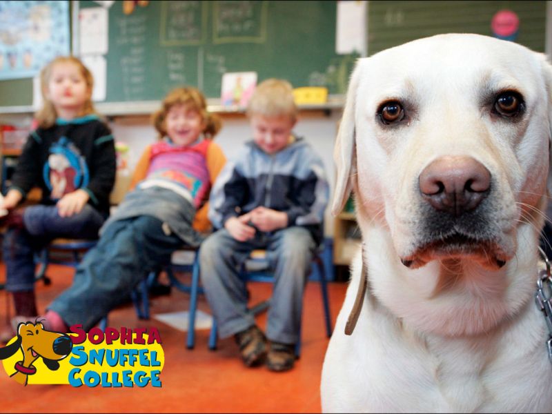 Hond in de klas leert kinderen veilig omgaan met honden