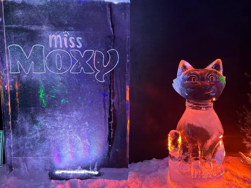 Miss Moxy als ijsbeeld te zien op Nederlands IJsbeelden Festival