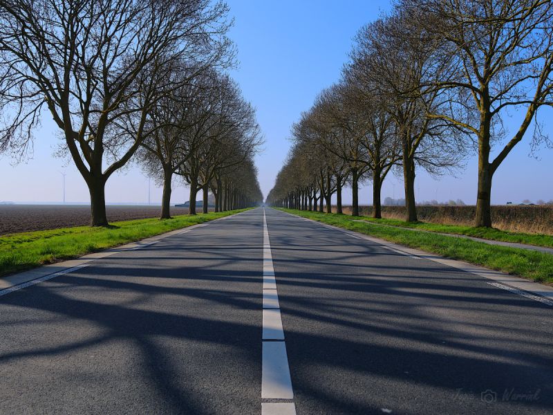 Het culturele DNA van Dronten aflevering 2: geometrische lijnen, agrarische schoonheid