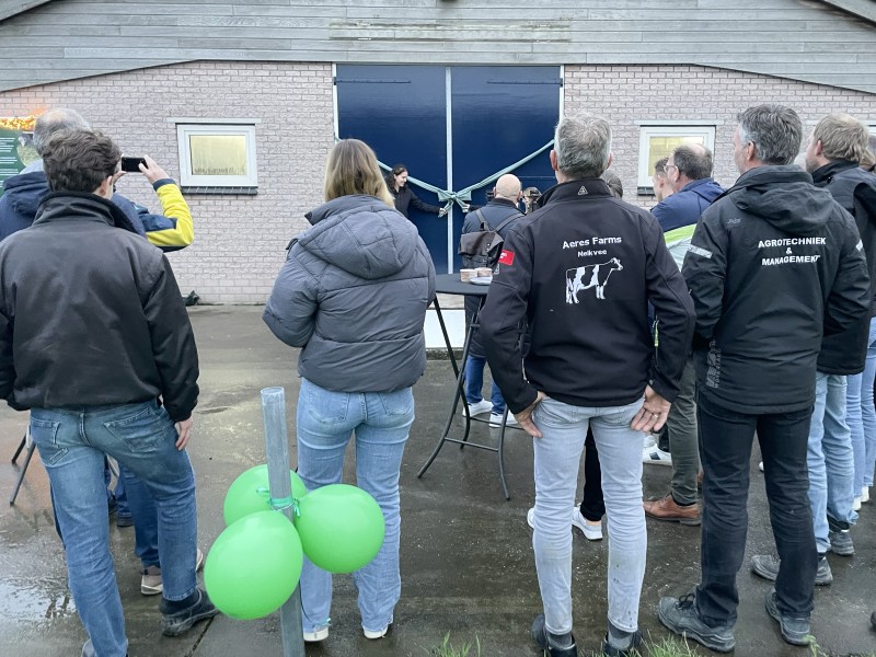 opening wroetstal
